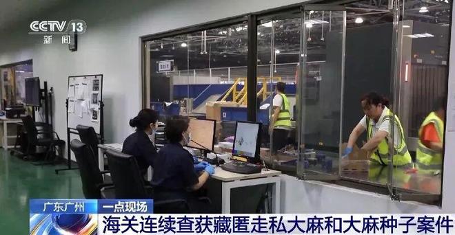 ”？任你千变万化也难逃法网AG真人申报家具变“咖啡(图4)