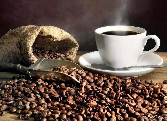 ：品质赋能领跑千亿赛道AG真人网速溶咖啡代工(图7)